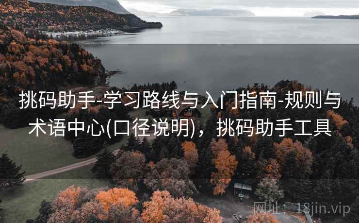 挑码助手-学习路线与入门指南-规则与术语中心(口径说明)，挑码助手工具