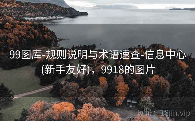 99图库-规则说明与术语速查-信息中心(新手友好)，9918的图片